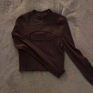 Brown Long-Sleeved Crop Top
